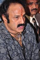Balakrishna Stills